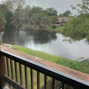 Sienna Park Apartments